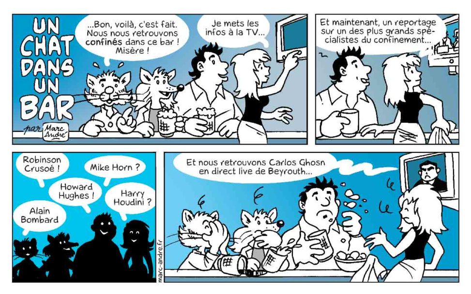 Un chat dans un bar 01 mars 2020 bande dessinée Marc-André BD Illustration graphisme Limoges